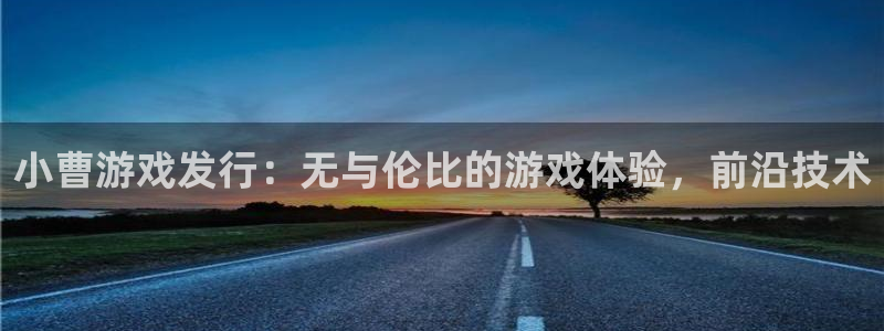 广州蓝狮运动服：小曹游戏发行：无与伦比的游戏体验，前沿技术