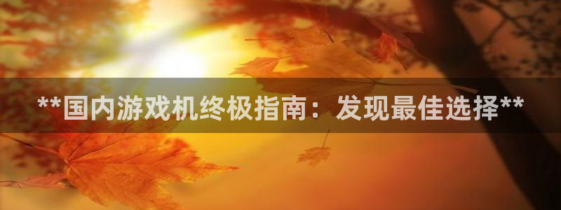 蓝狮在线注册地址在哪里啊：**国内游戏机终极指南：发现最佳选择**