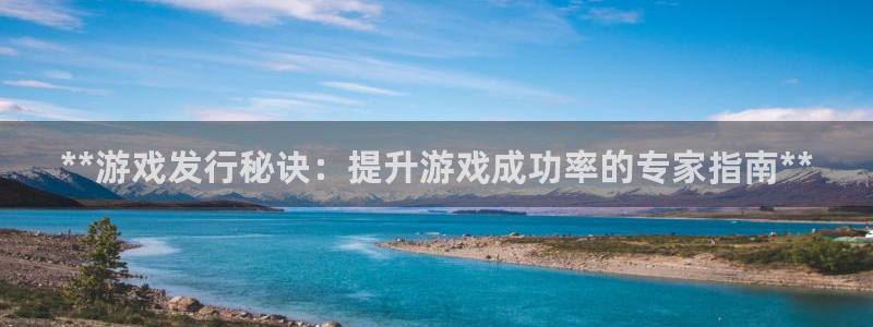 蓝狮在线分红：**游戏发行秘诀：提升游戏成功率的专家指南**