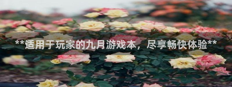 蓝狮在线客服服务怎么样：**适用于玩家的九月游戏本，尽享畅快体验**