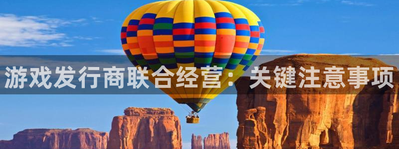 蓝狮服装品牌：游戏发行商联合经营：关键注意事项