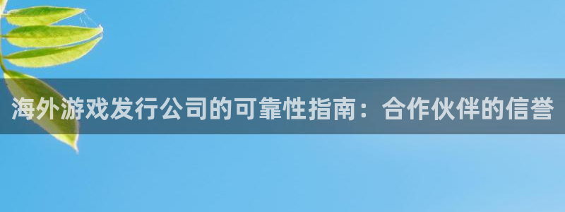 蓝狮防水是几线品牌：海外游戏发行公司的可靠性指南：合作伙伴的信誉