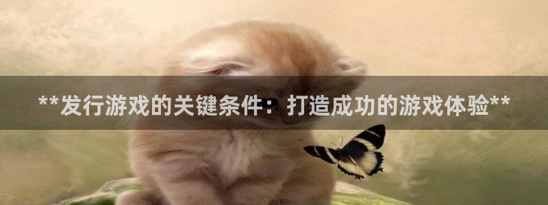 蓝狮在线平台合法吗：**发行游戏的关键条件：打造成功的游戏体验**
