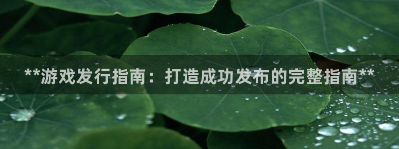 蓝狮在线挂机项目怎么样啊：**游戏发行指南：打造成功发布的完整指南**