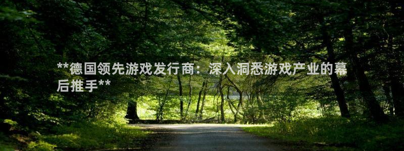 江苏蓝狮人力资源有限公司怎么样：**德国领先游戏发行商：深入洞悉游戏产业的幕
后推手**