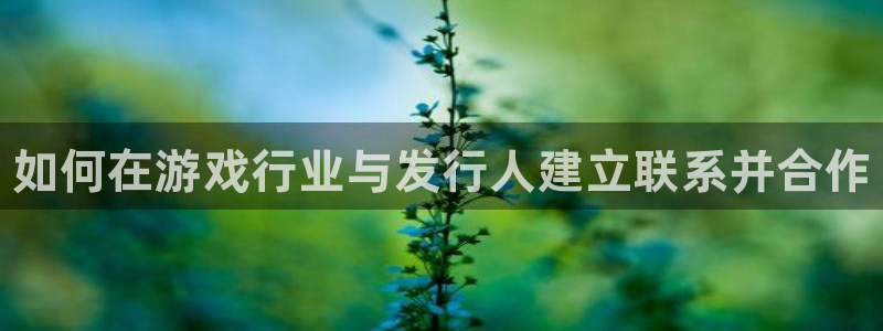 长沙蓝狮子电子商务有限公司：如何在游戏行业与发行人建立联系并合作