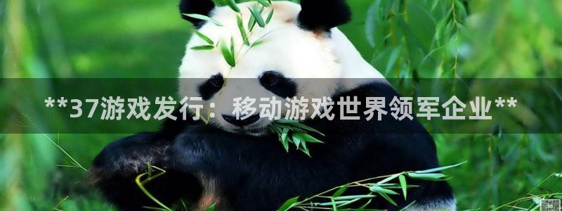 陕西蓝狮子文化创意有限公司有什么游戏：**37游戏发行：移动游戏世界领军企业**