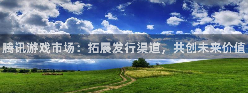 蓝狮品牌策划：腾讯游戏市场：拓展发行渠道，共创未来价值