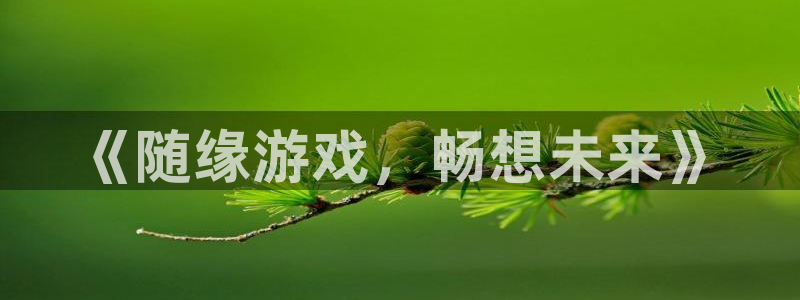 蓝狮子图书：《随缘游戏，畅想未来》