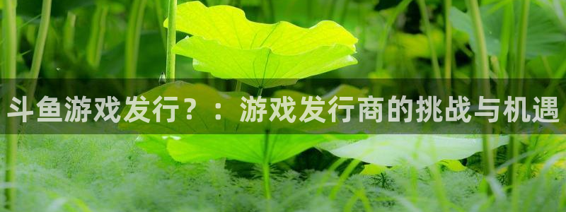 蓝狮技术有限公司怎么样：斗鱼游戏发行？：游戏发行商的挑战与机遇