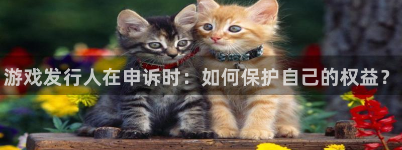 蓝狮gs：游戏发行人在申诉时：如何保护自己的权益？