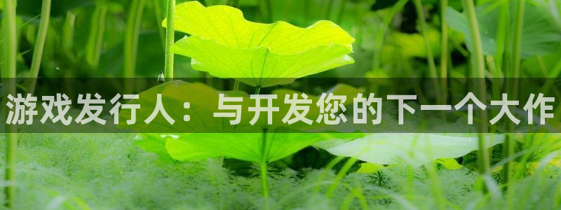 蓝狮在线登录注册账号安全吗：游戏发行人：与开发您的下一个大作