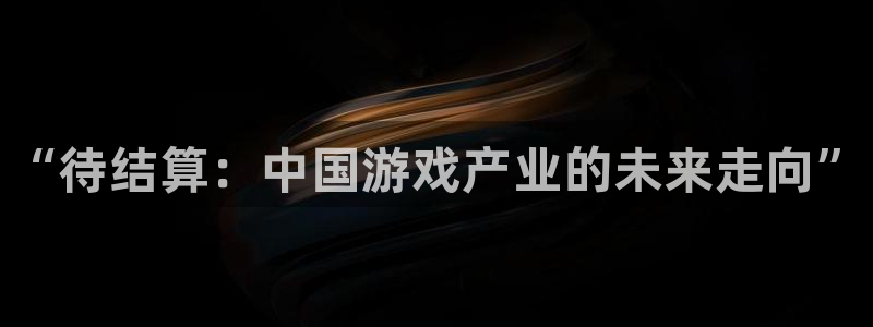 广东蓝狮营销策划有限公司：“待结算：中国游戏产业的未来走向”