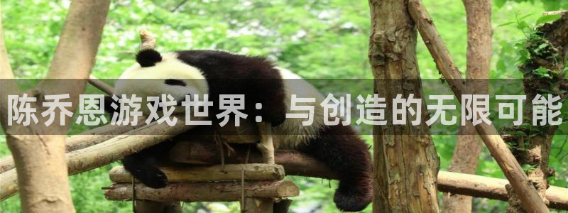 蓝狮在线登录注册账号是什么：陈乔恩游戏世界：与创造的无限可能