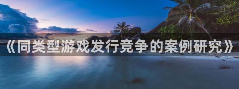 蓝狮服装：《同类型游戏发行竞争的案例研究》