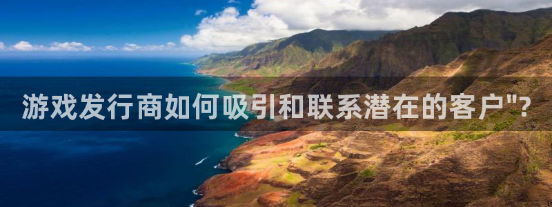 蓝狮logo：游戏发行商如何吸引和联系潜在的客户\