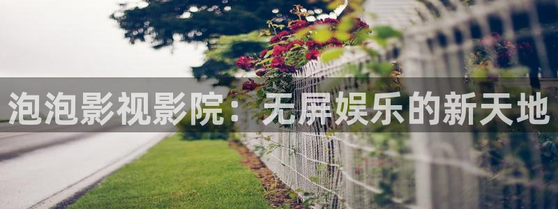 小小影视高清：泡泡影视影院：无屏娱乐的新天地