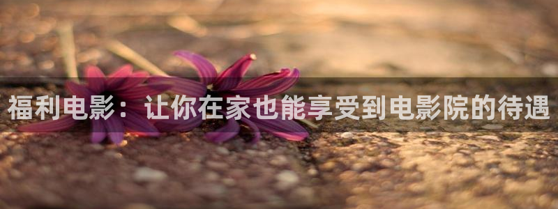 小小影视+官网下载：福利电影：让你在家也能享受到电影院的待遇