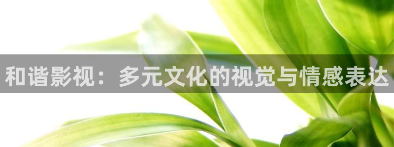 小小影院大全在线观看电视剧免费：和谐影视：多元文化的视觉与情感表达