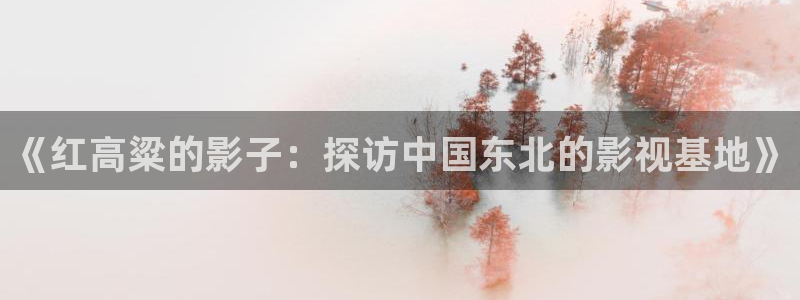 小小影视下载免费：《红高粱的影子：探访中国东北的影视基地》