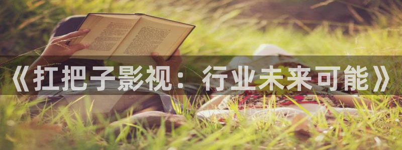 小小影视看日本：《扛把子影视：行业未来可能》