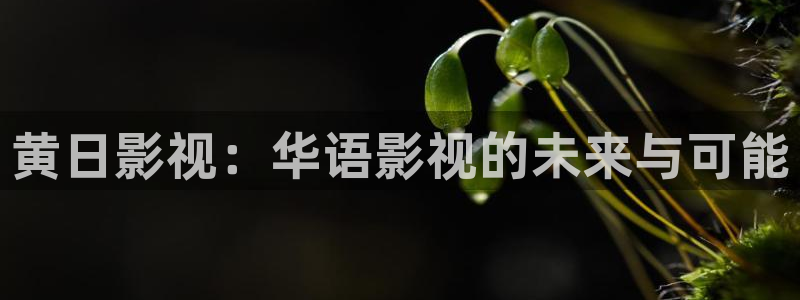 小小影视视频在线观看免费观看：黄日影视：华语影视的未来与可能